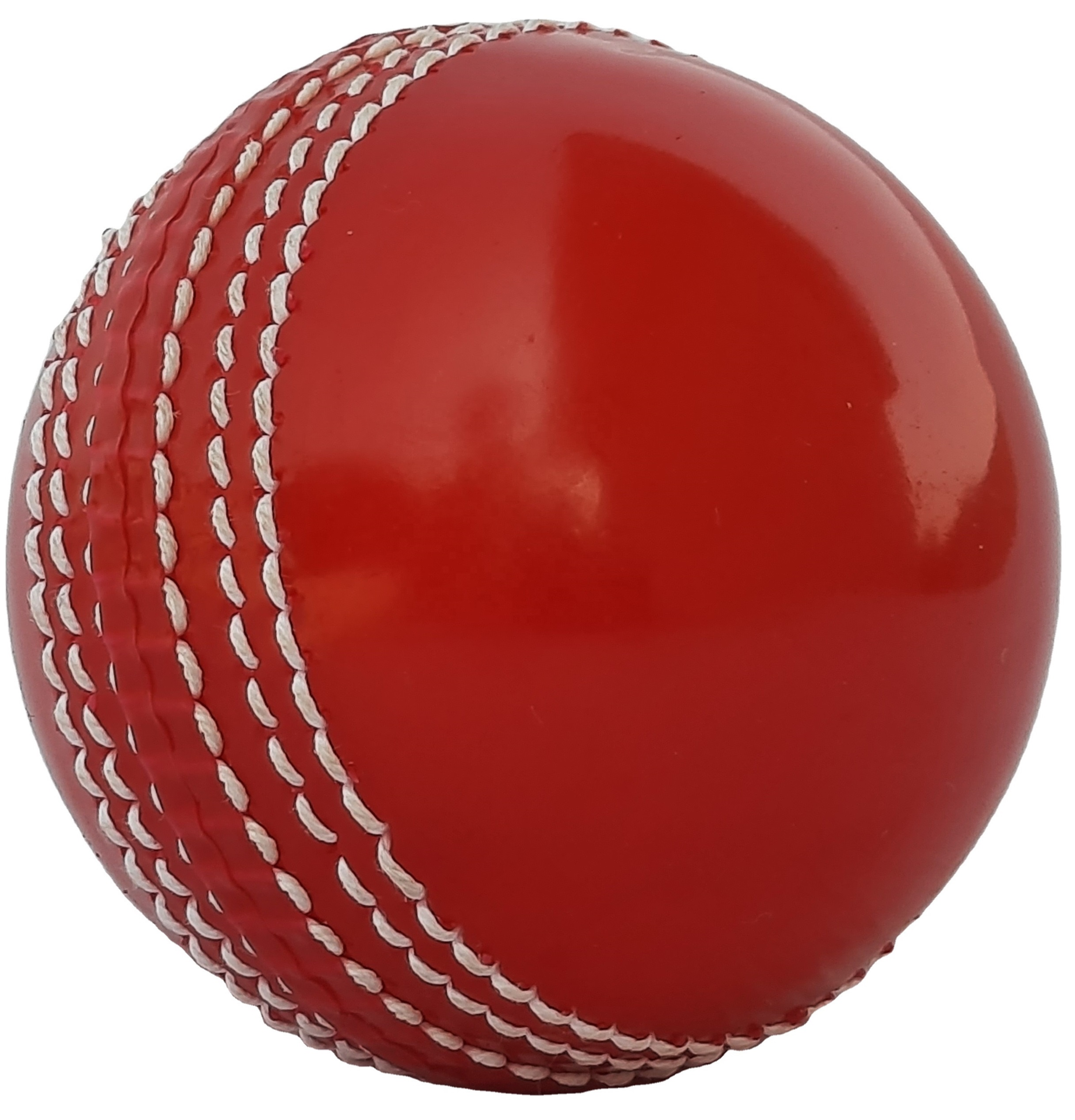 CRICKET TRAINING BALL